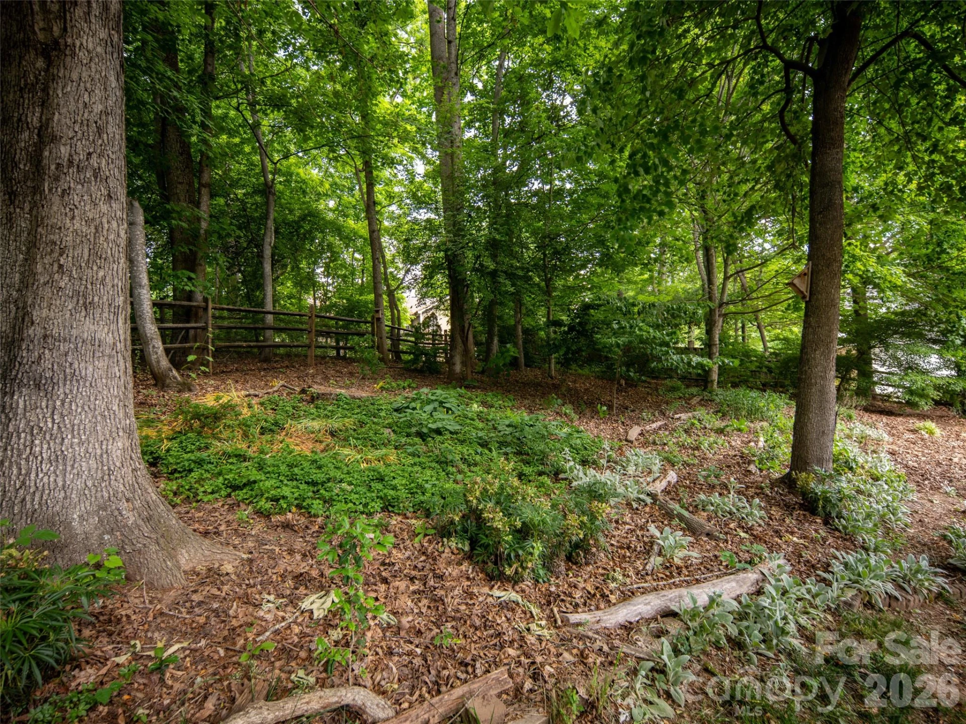 541 Welsh Partridge Circle - Photo 2