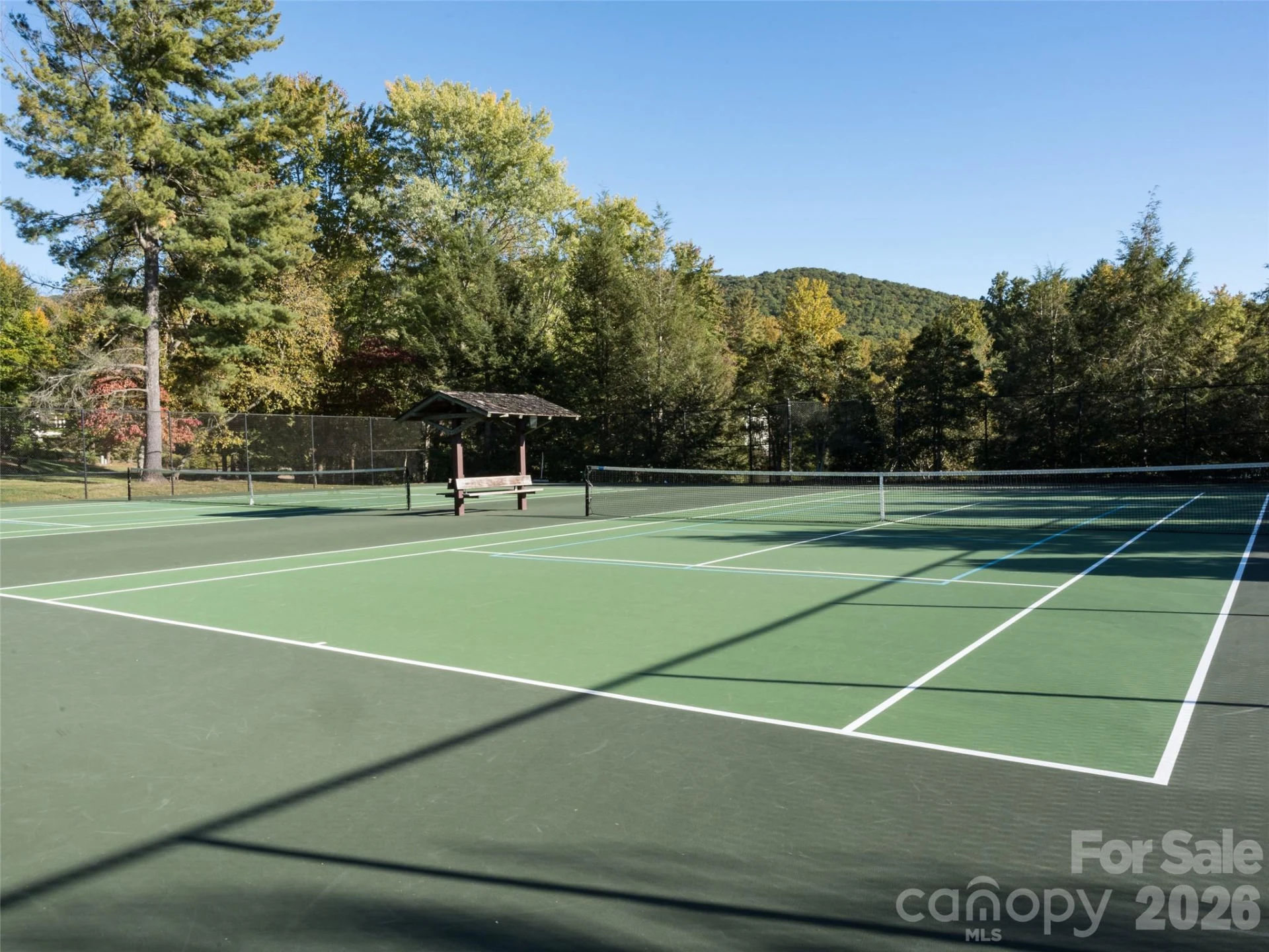 541 Welsh Partridge Circle - Photo 43