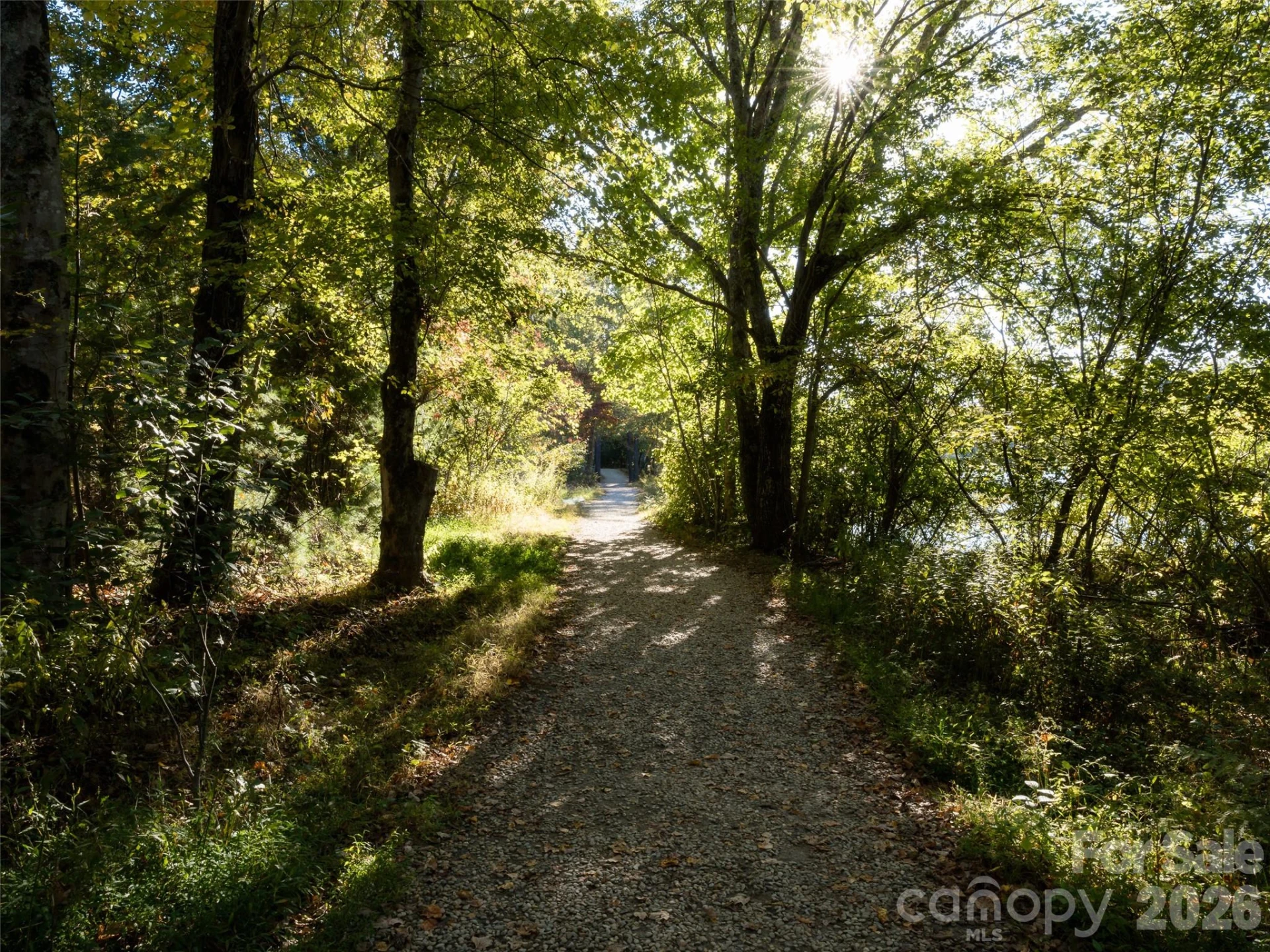 541 Welsh Partridge Circle - Photo 44