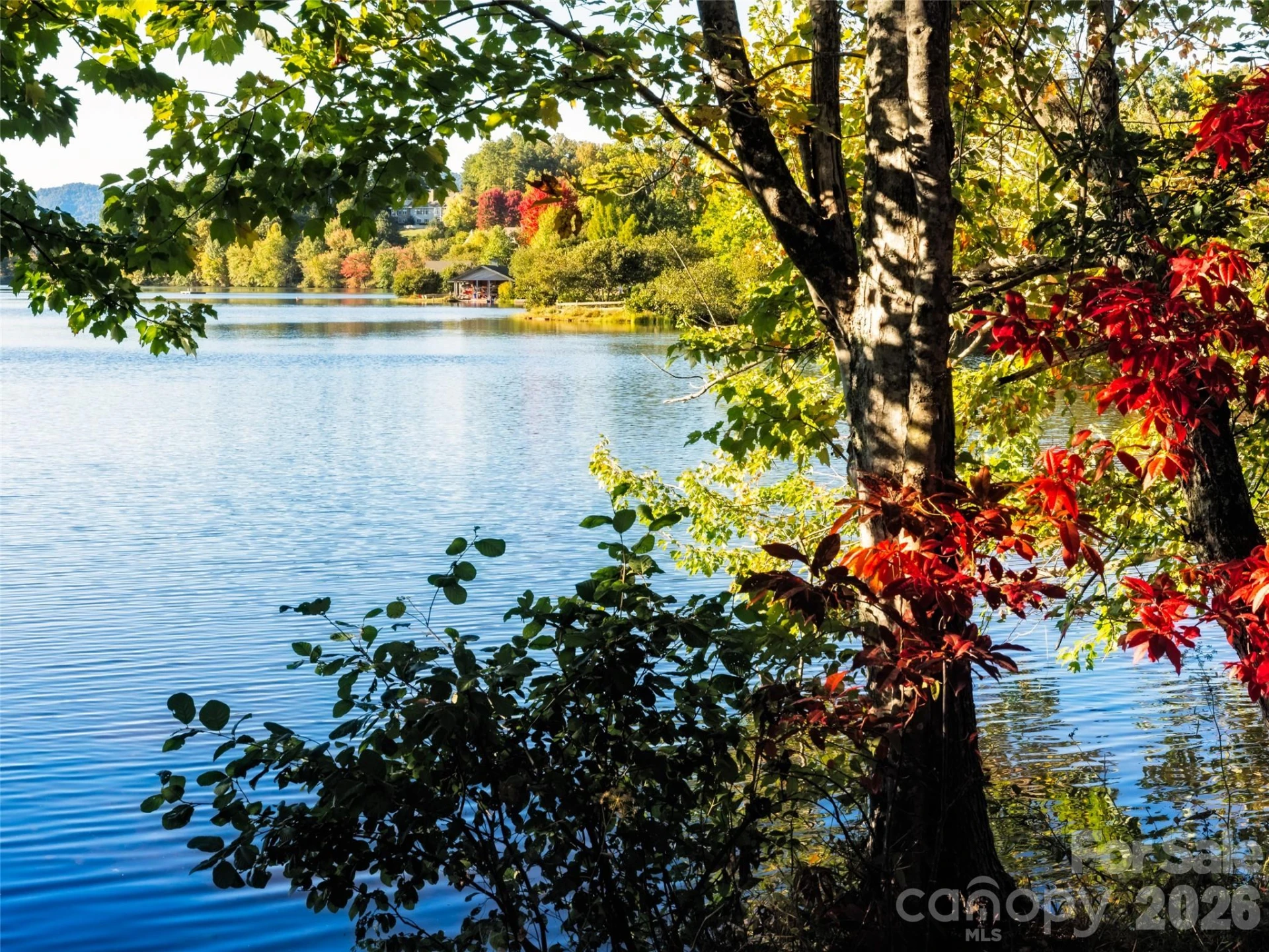 541 Welsh Partridge Circle - Photo 45