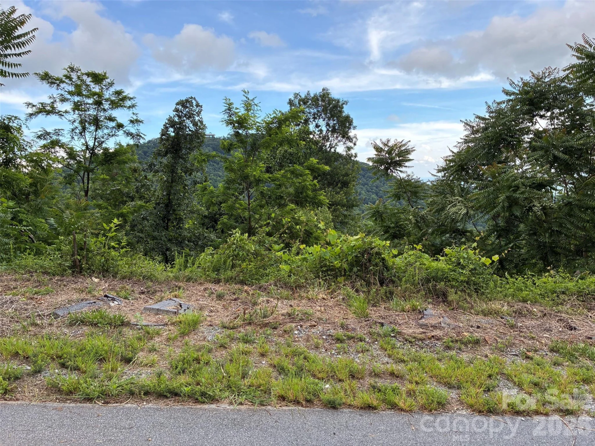 117 Devin Ridge Lane #117 - Photo 3