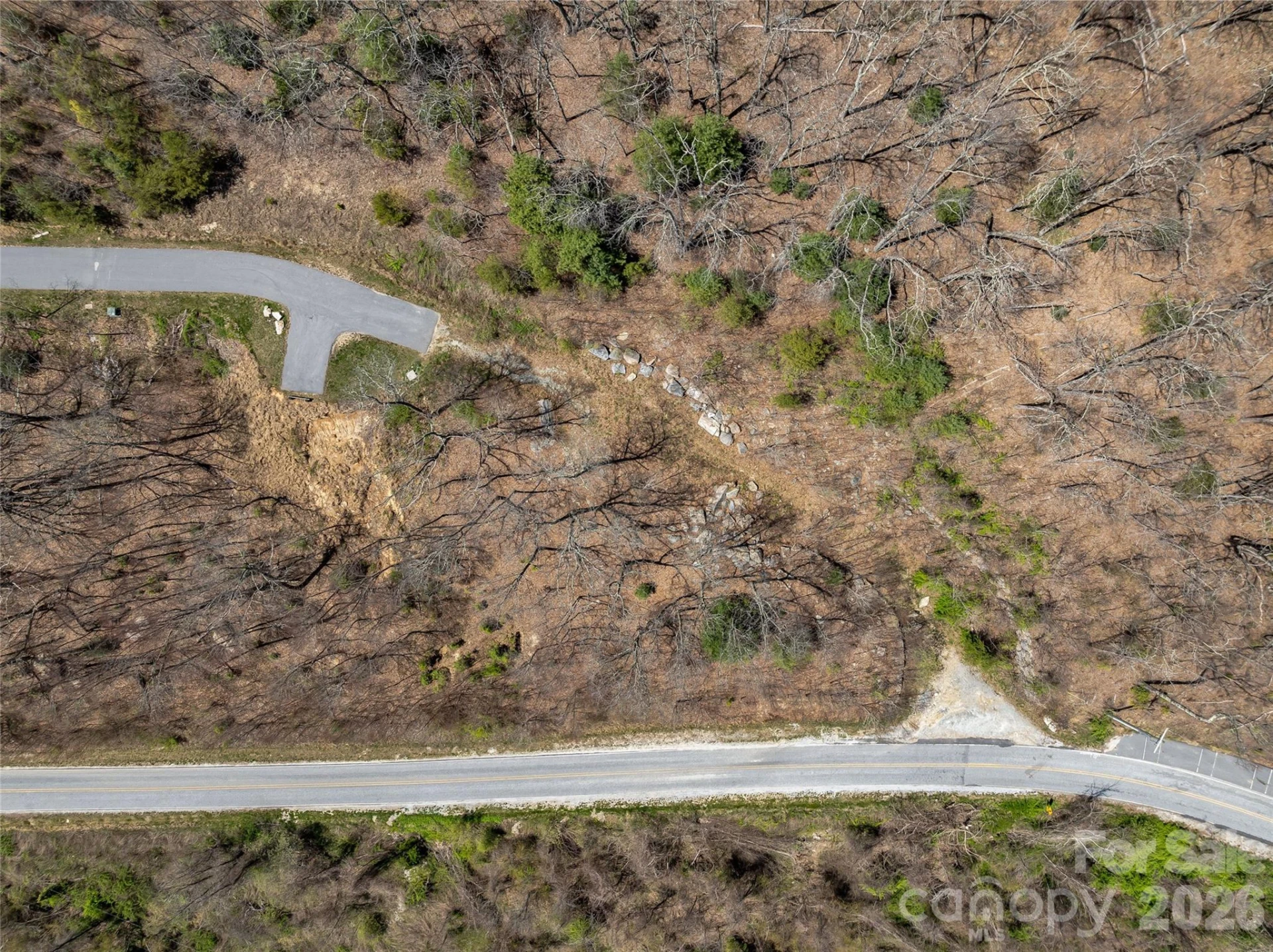 370 Autumn Ridge Lane #75 - Photo 3