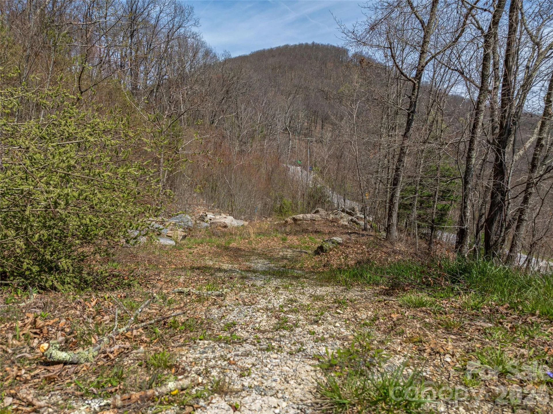 370 Autumn Ridge Lane #75 - Photo 6