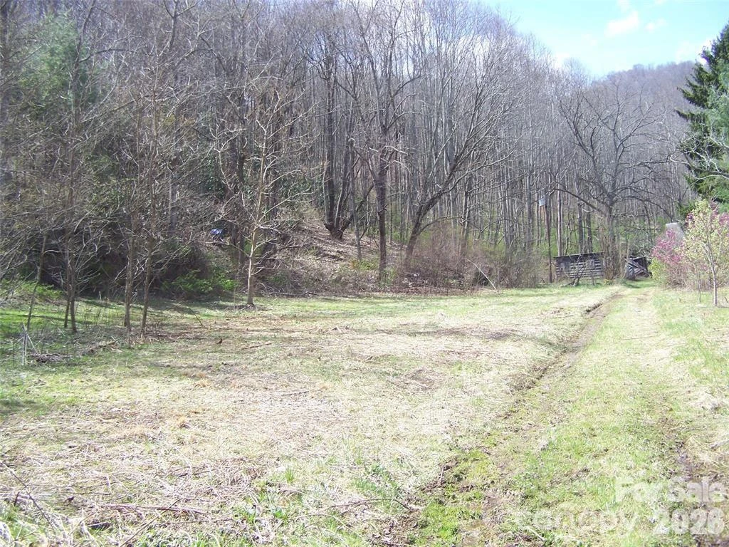 58 Collier Lane - Photo 3