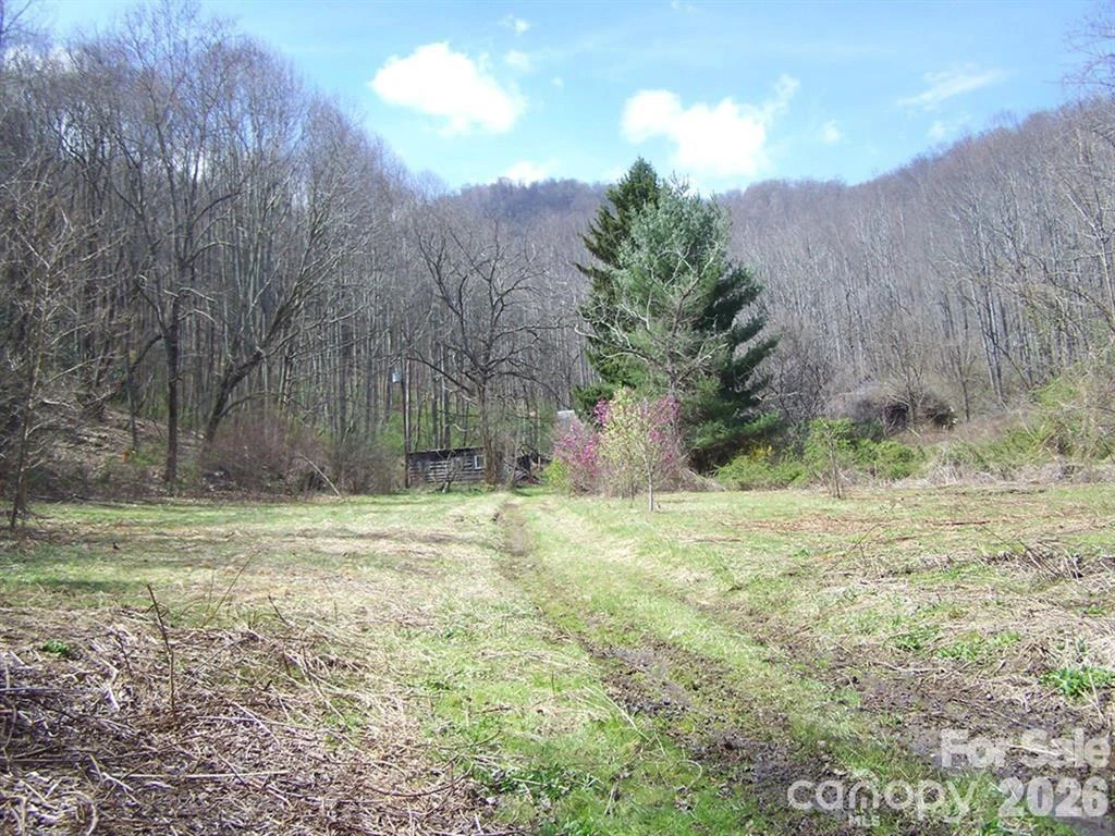 58 Collier Lane - Photo 4