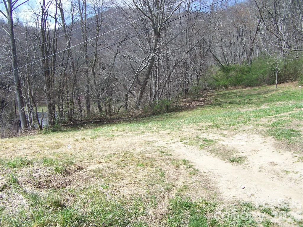 58 Collier Lane - Photo 5