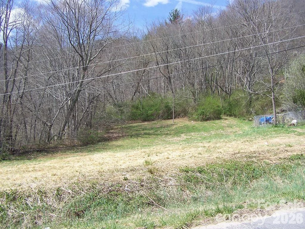 58 Collier Lane - Photo 6