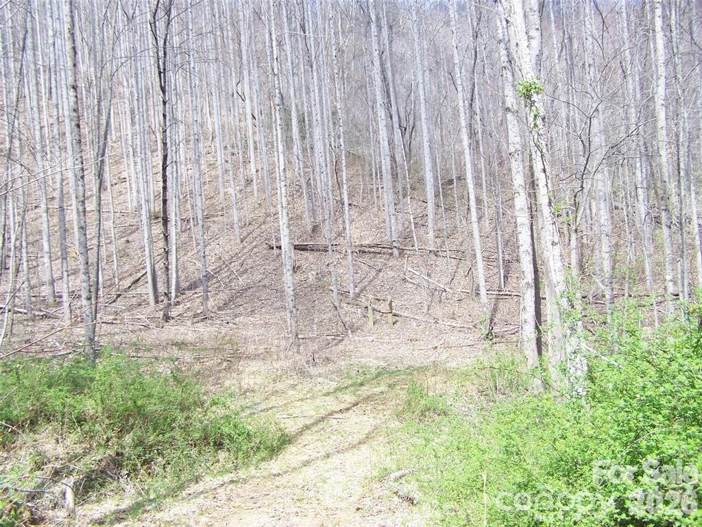 58 Collier Lane - Photo 7