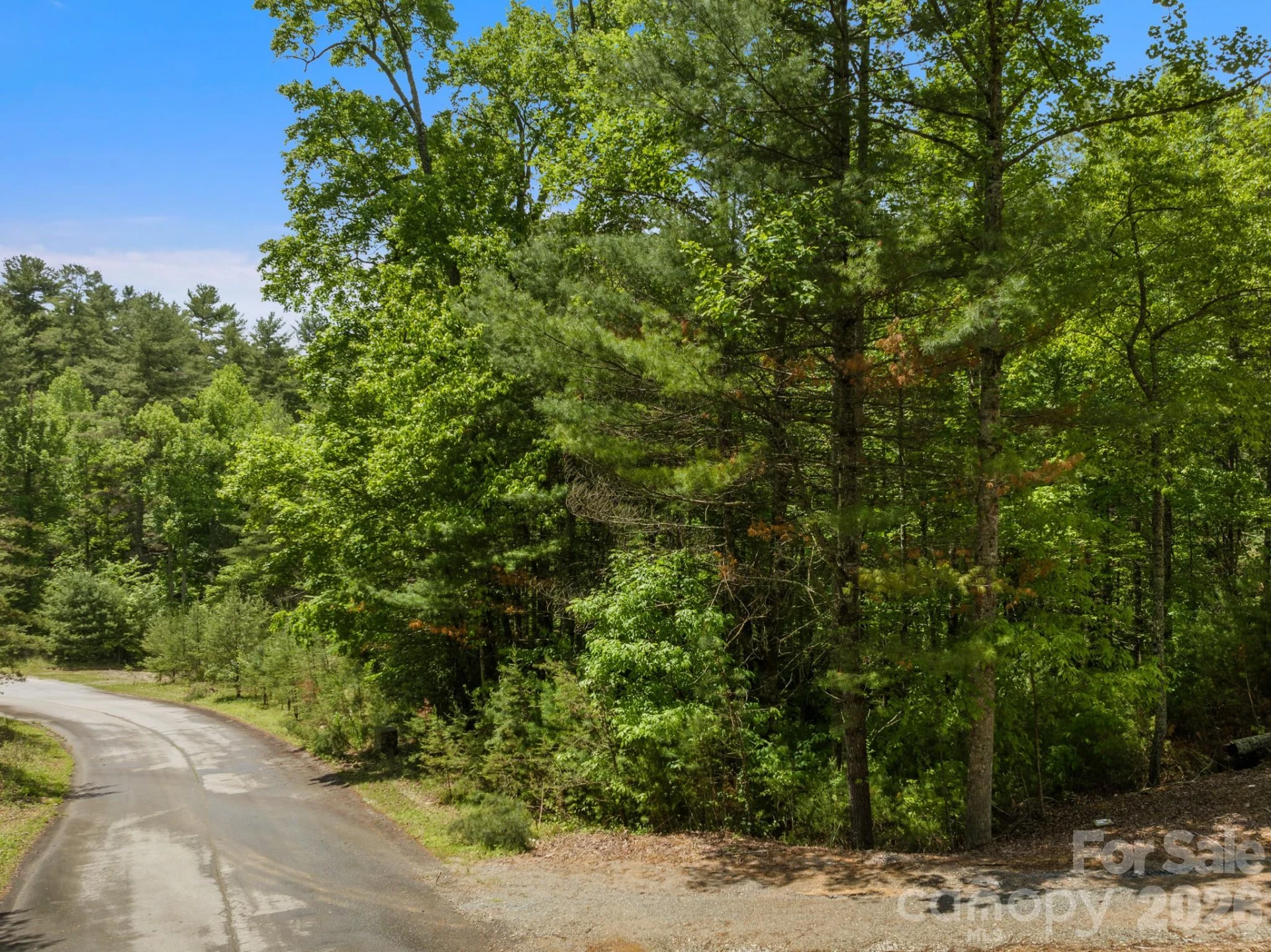 Lot #28 Awi Trail - Photo 14