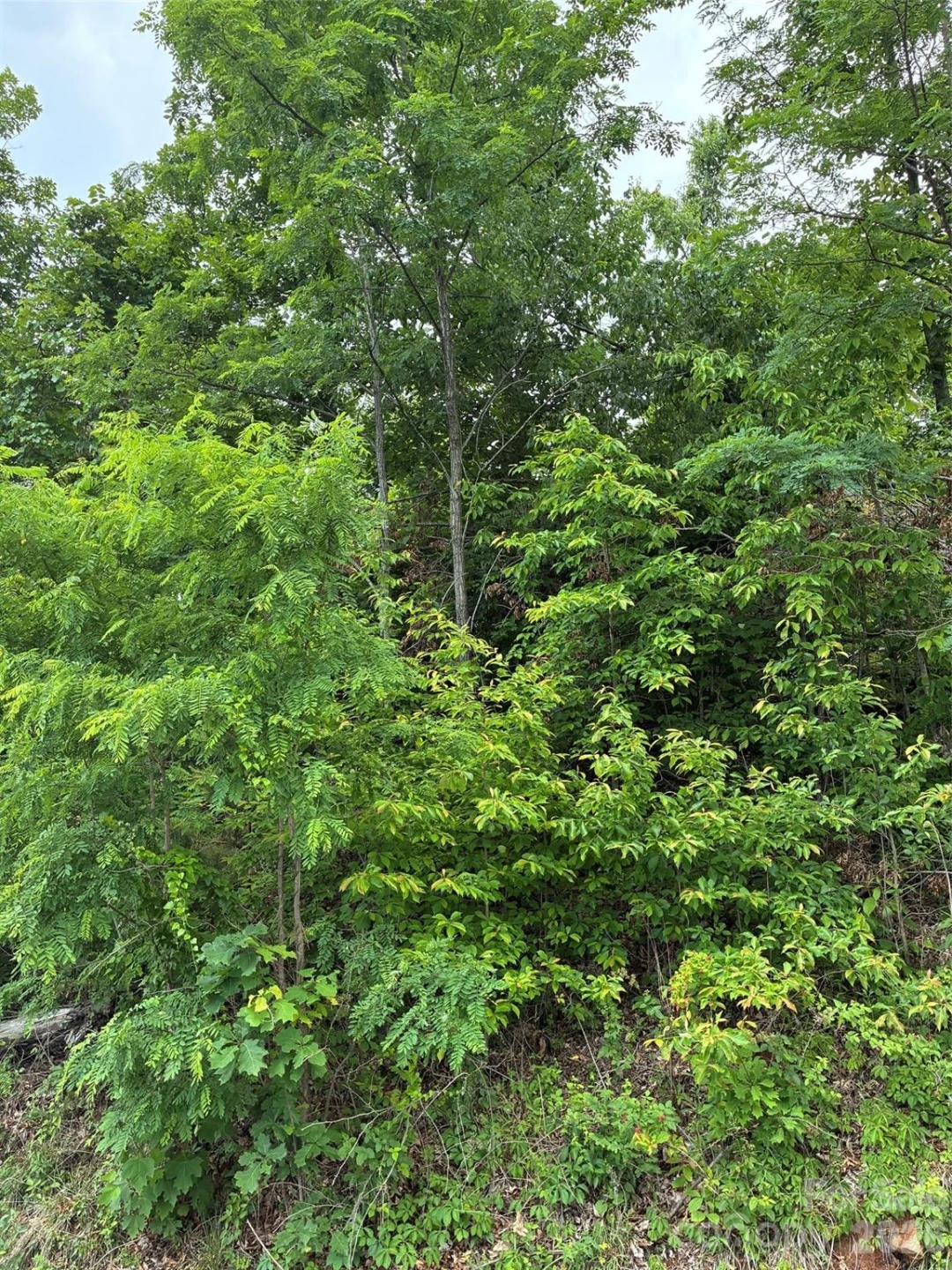 124 Devin Ridge Lane #124 - Photo 3