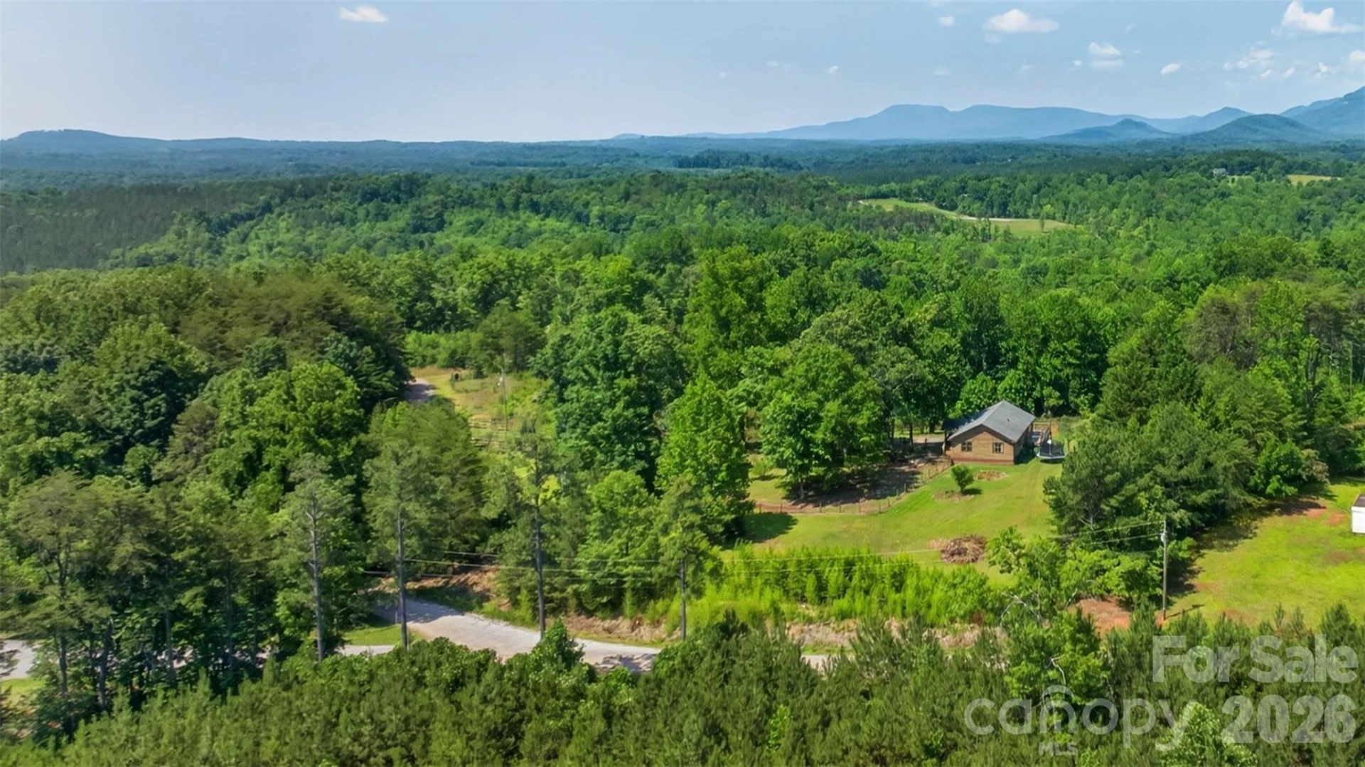 66 Misery Ridge Trail - Photo 11