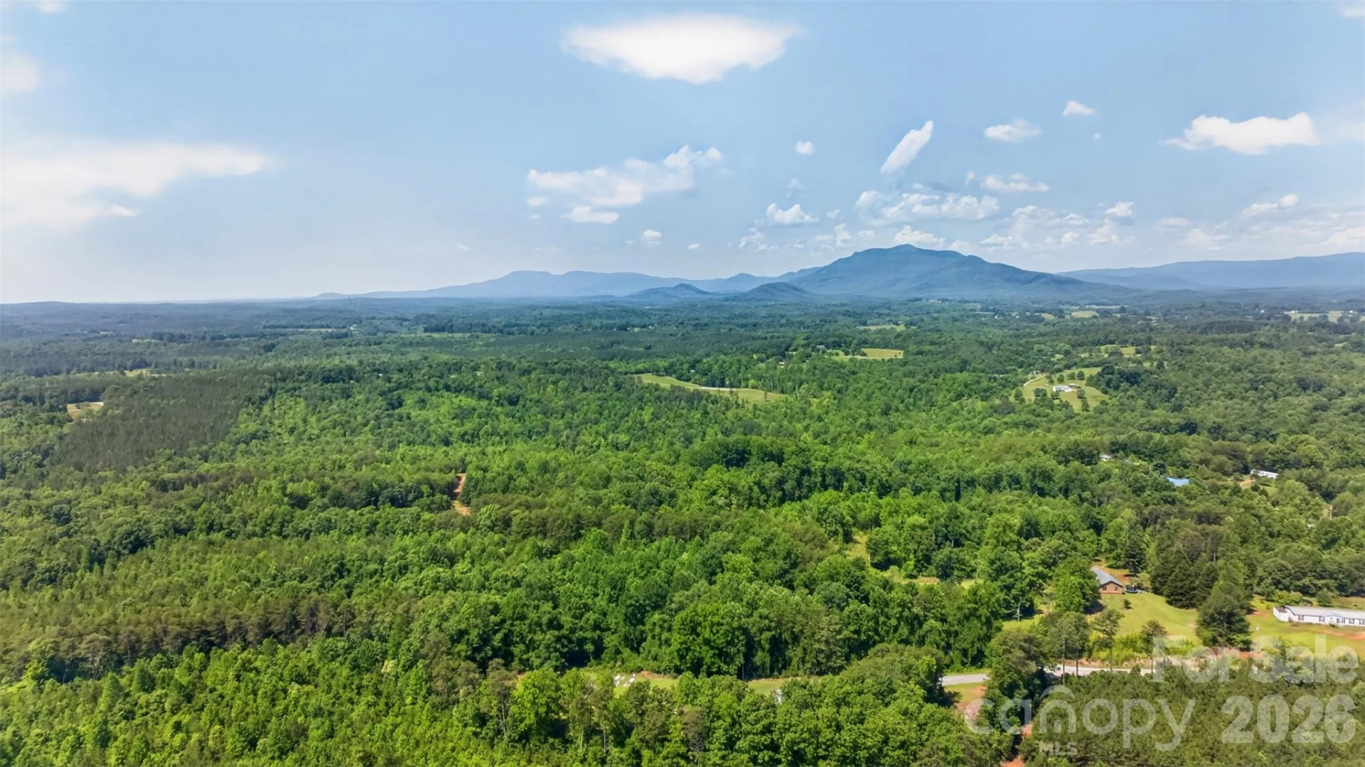 66 Misery Ridge Trail - Photo 12