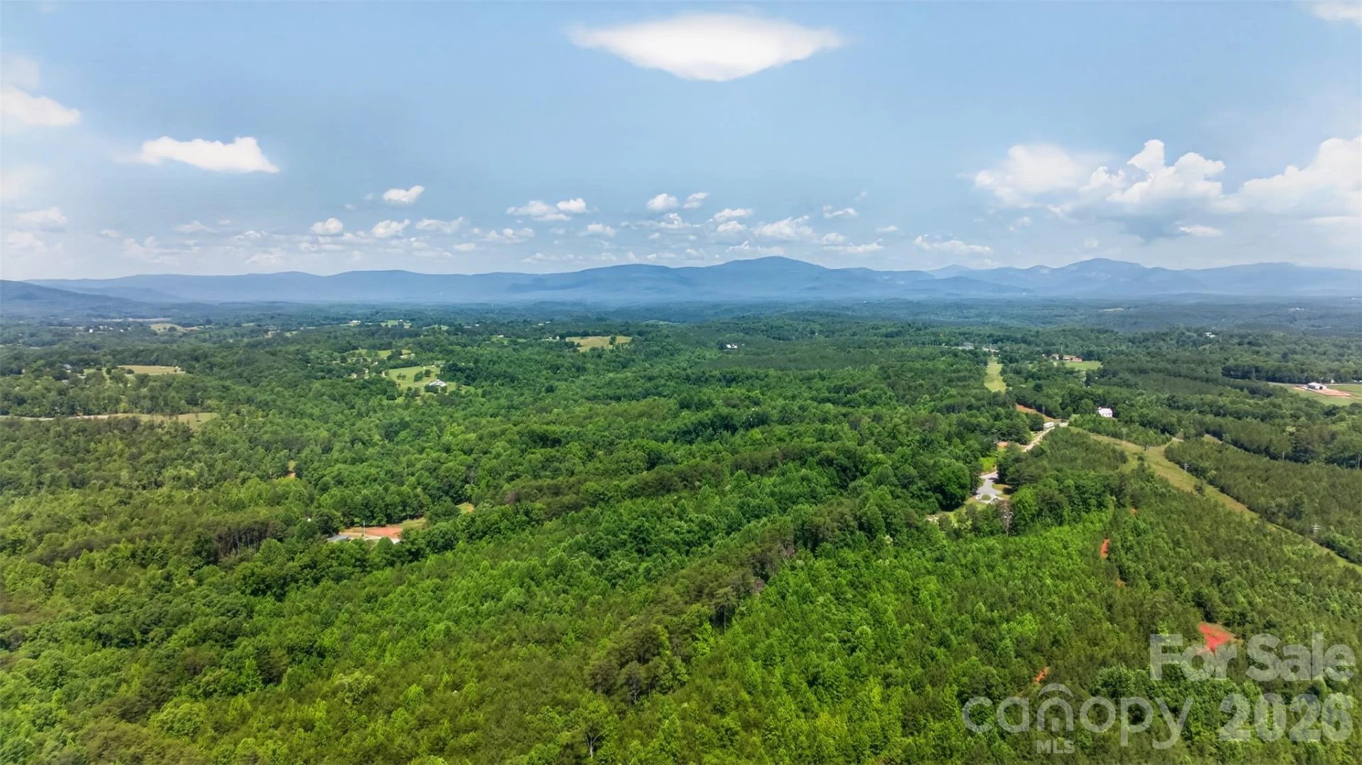 66 Misery Ridge Trail - Photo 13