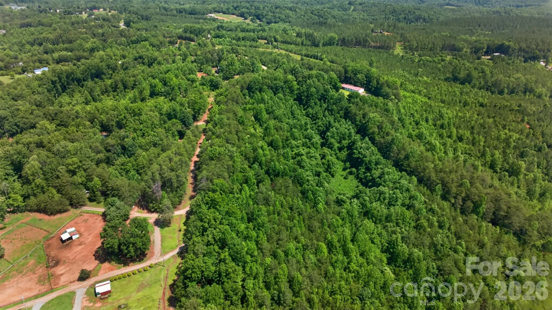 66 Misery Ridge Trail - Photo 15