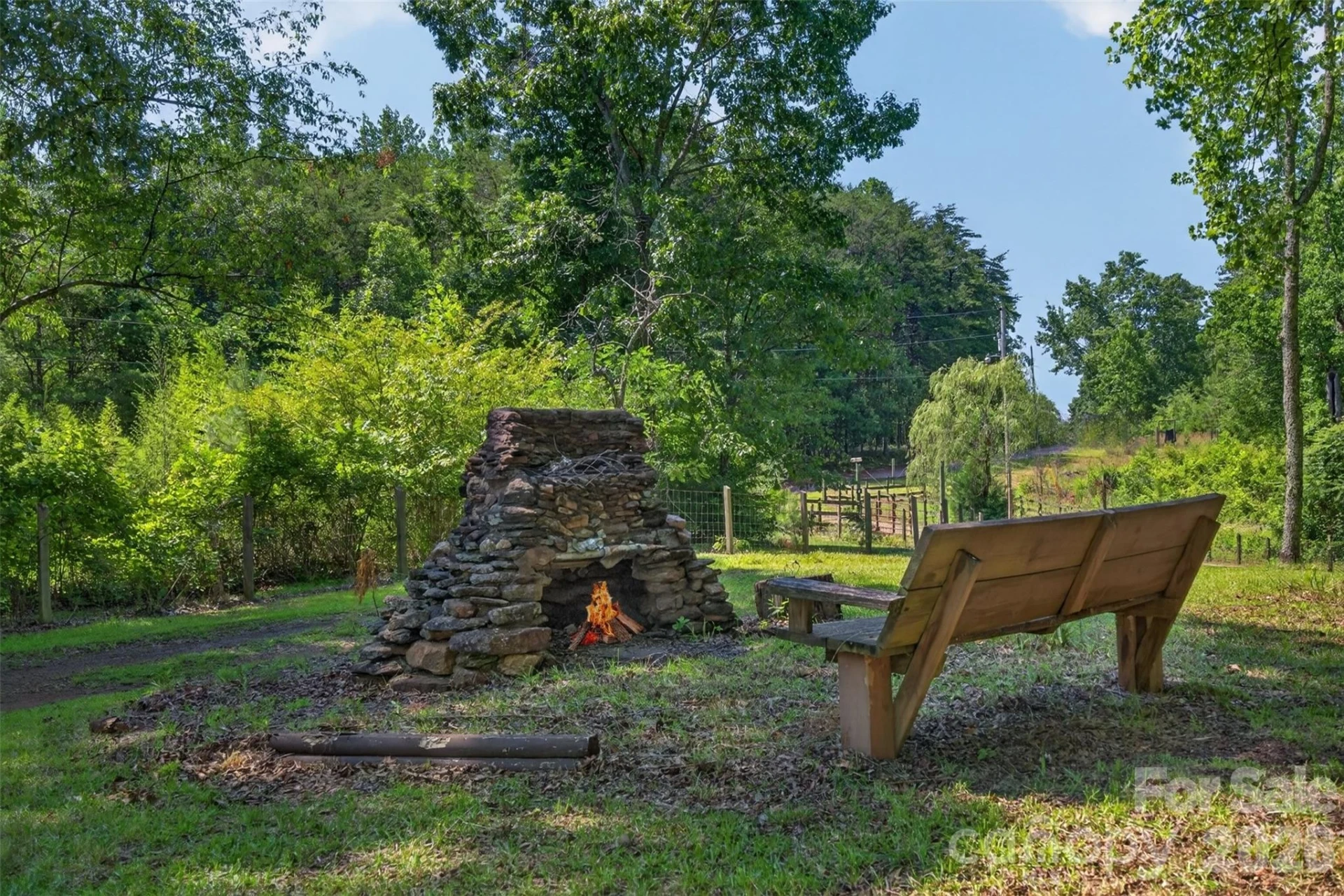 66 Misery Ridge Trail - Photo 18