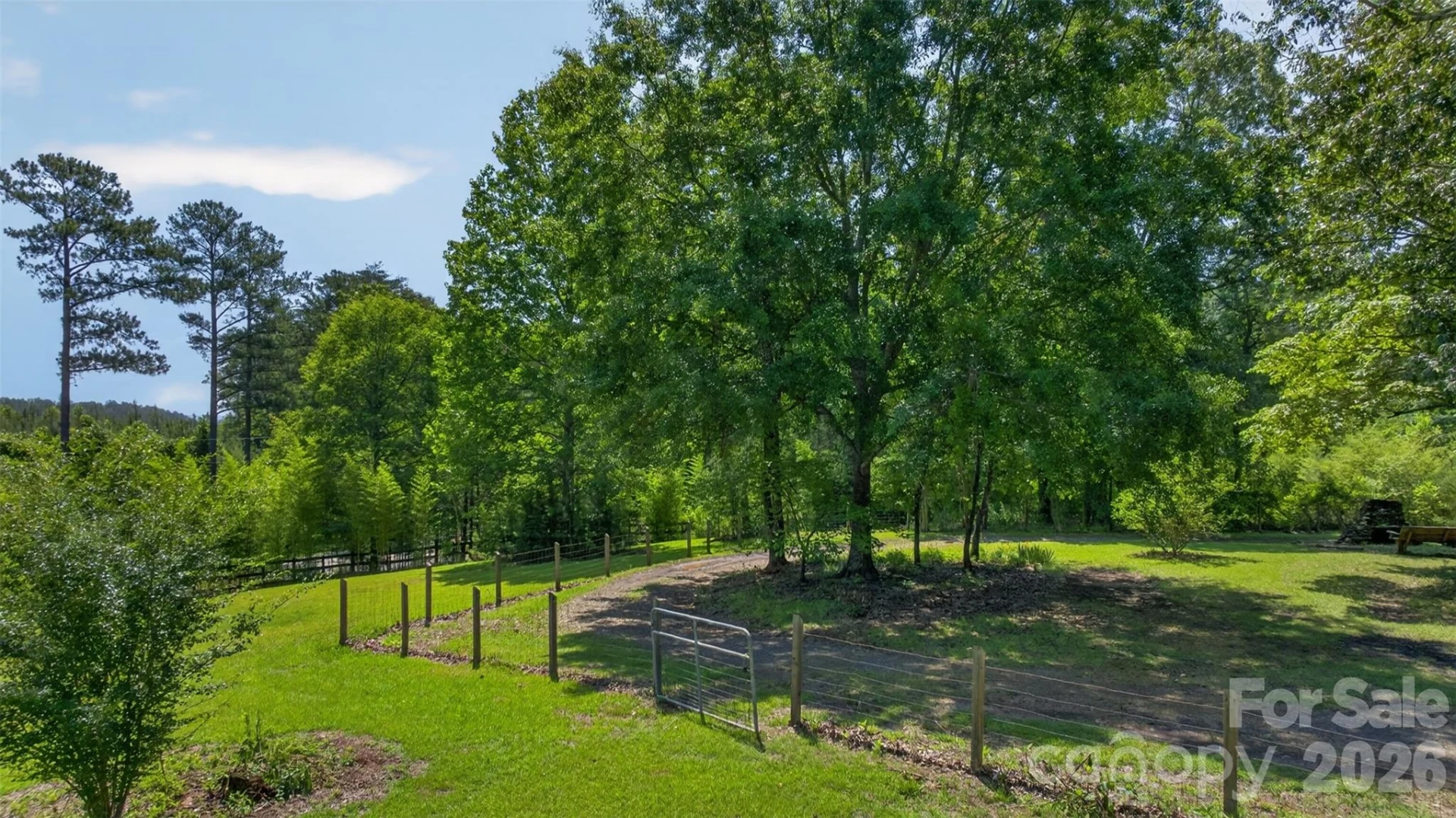 66 Misery Ridge Trail - Photo 6