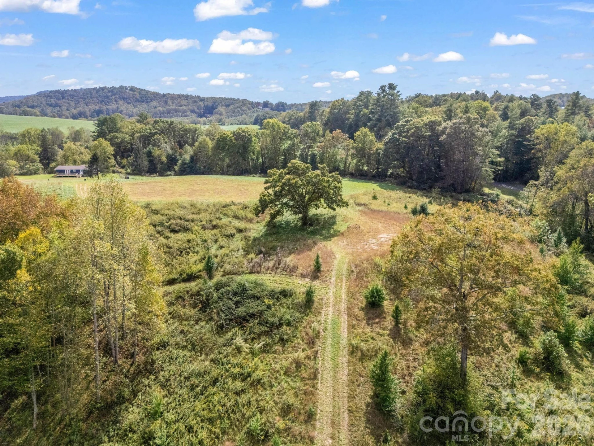 128 Cook Lane #(25 Acres) - Photo 16