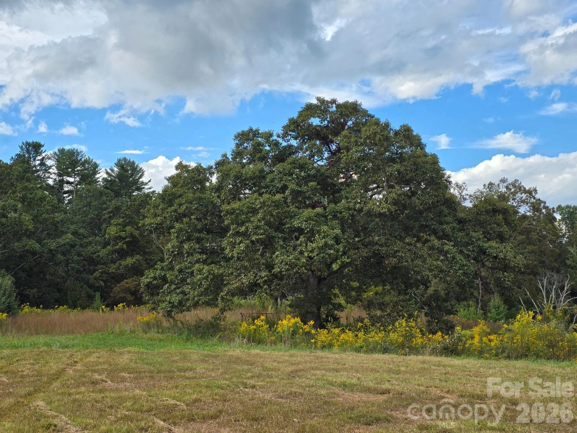 128 Cook Lane #(25 Acres) - Photo 26