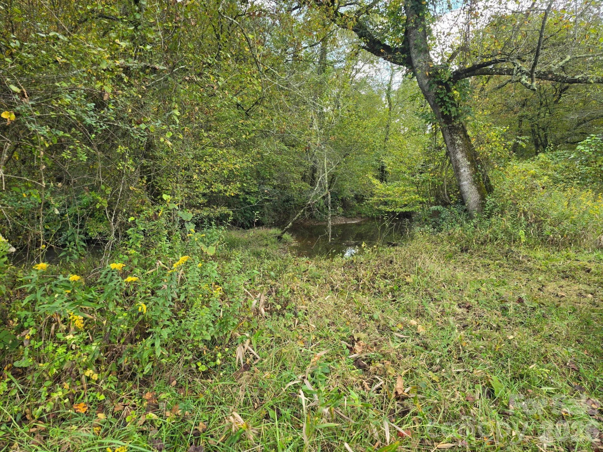 128 Cook Lane #(25 Acres) - Photo 27