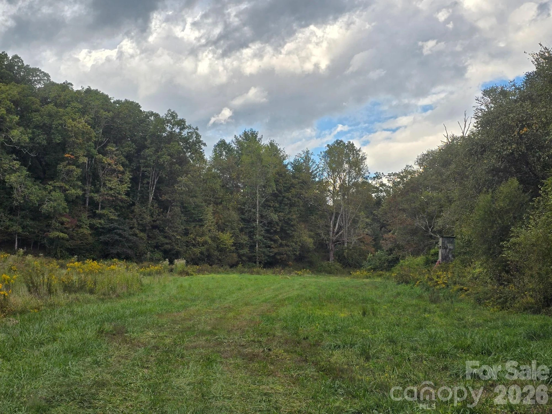 128 Cook Lane #(25 Acres) - Photo 28