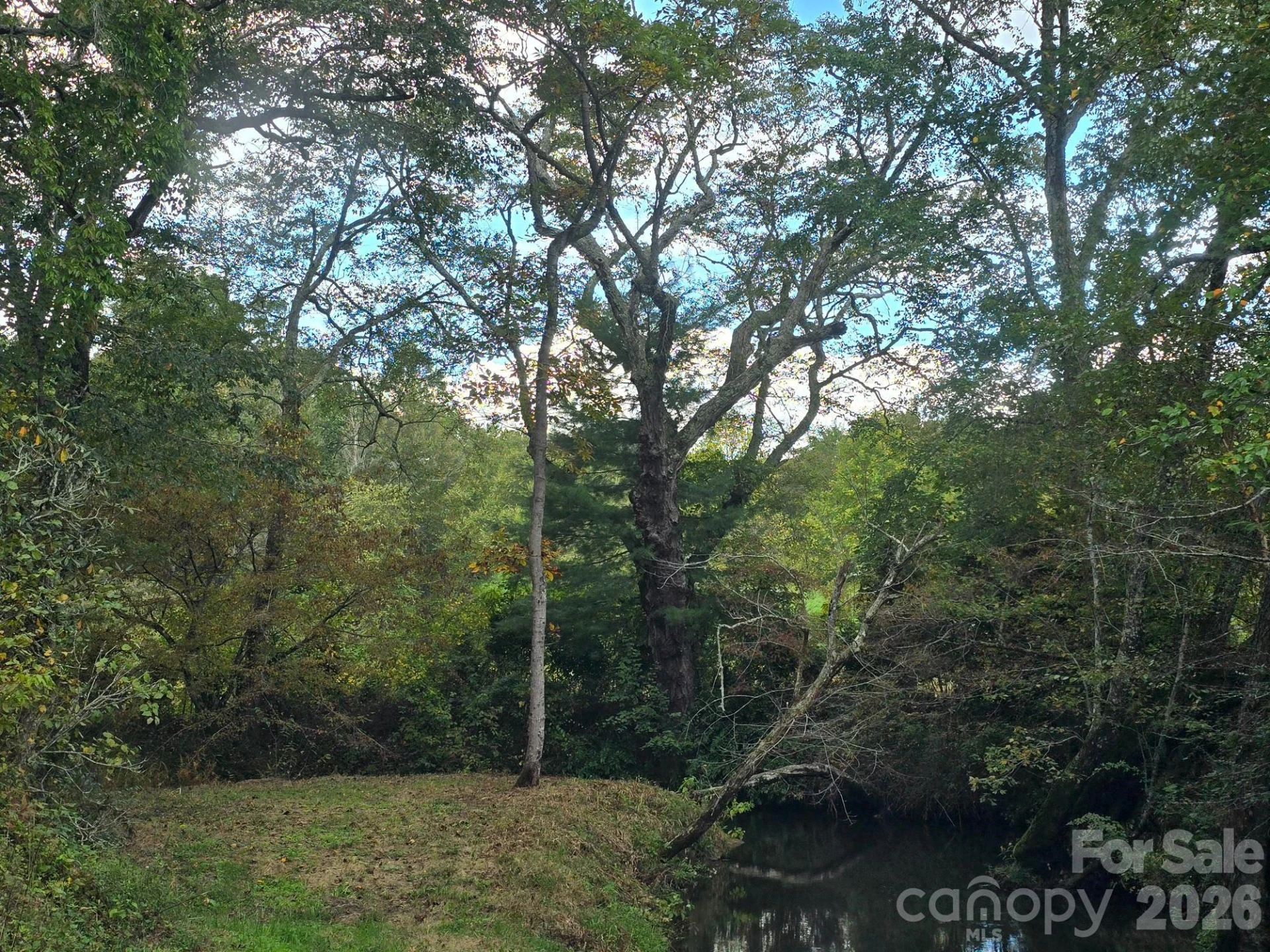 128 Cook Lane #(25 Acres) - Photo 29