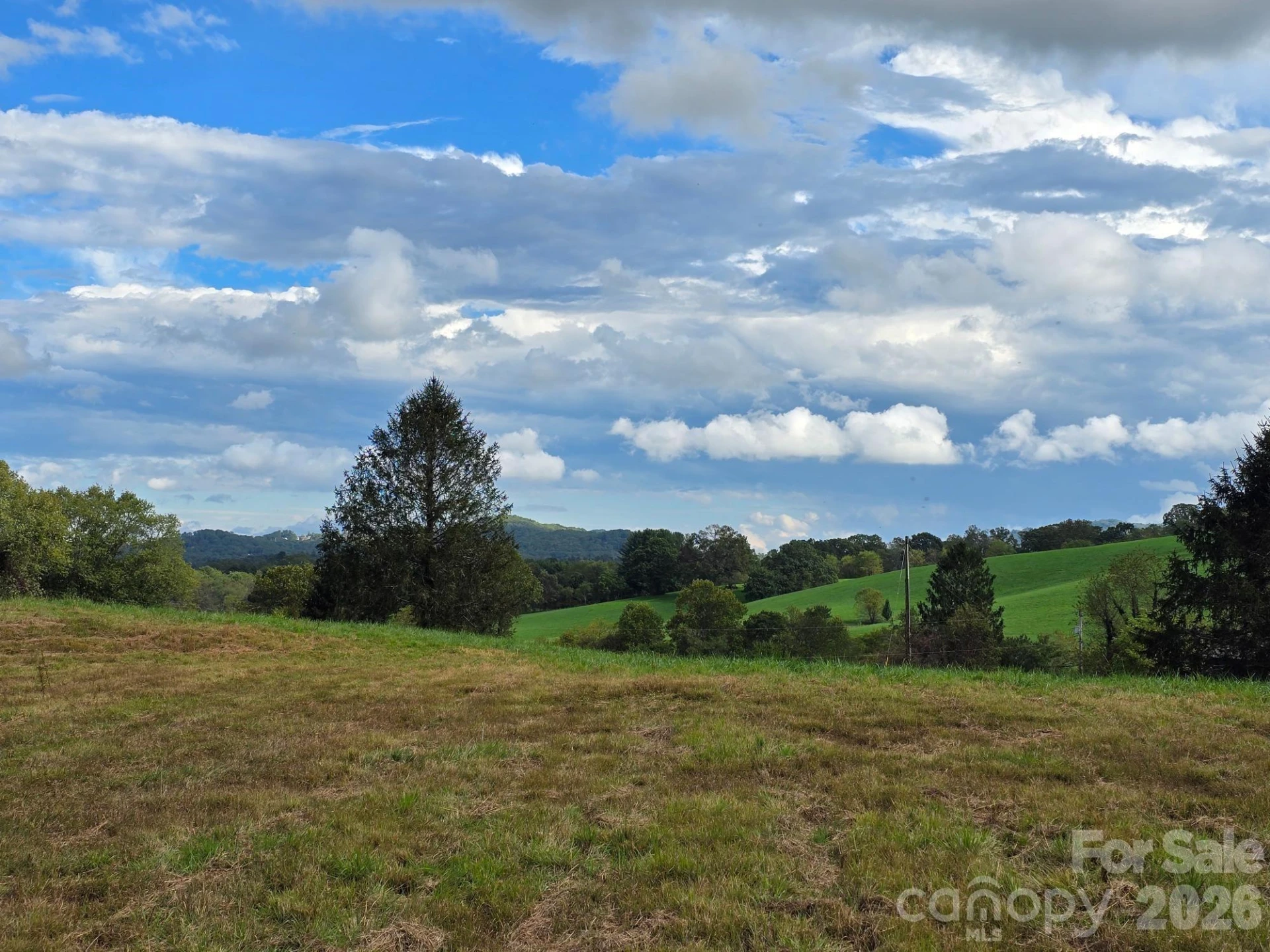 128 Cook Lane #(25 Acres) - Photo 31