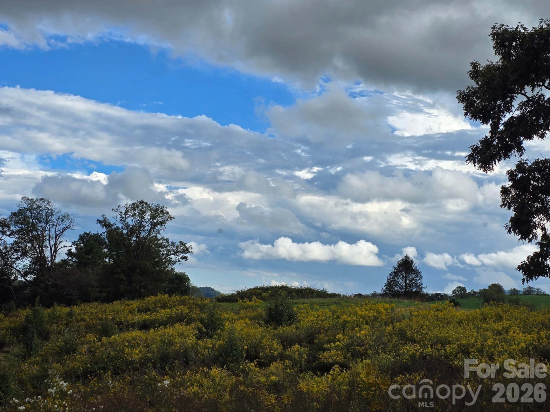 128 Cook Lane #(25 Acres) - Photo 33