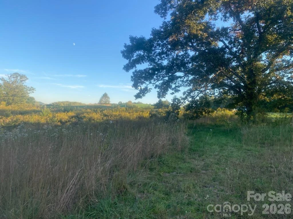 128 Cook Lane #(25 Acres) - Photo 34