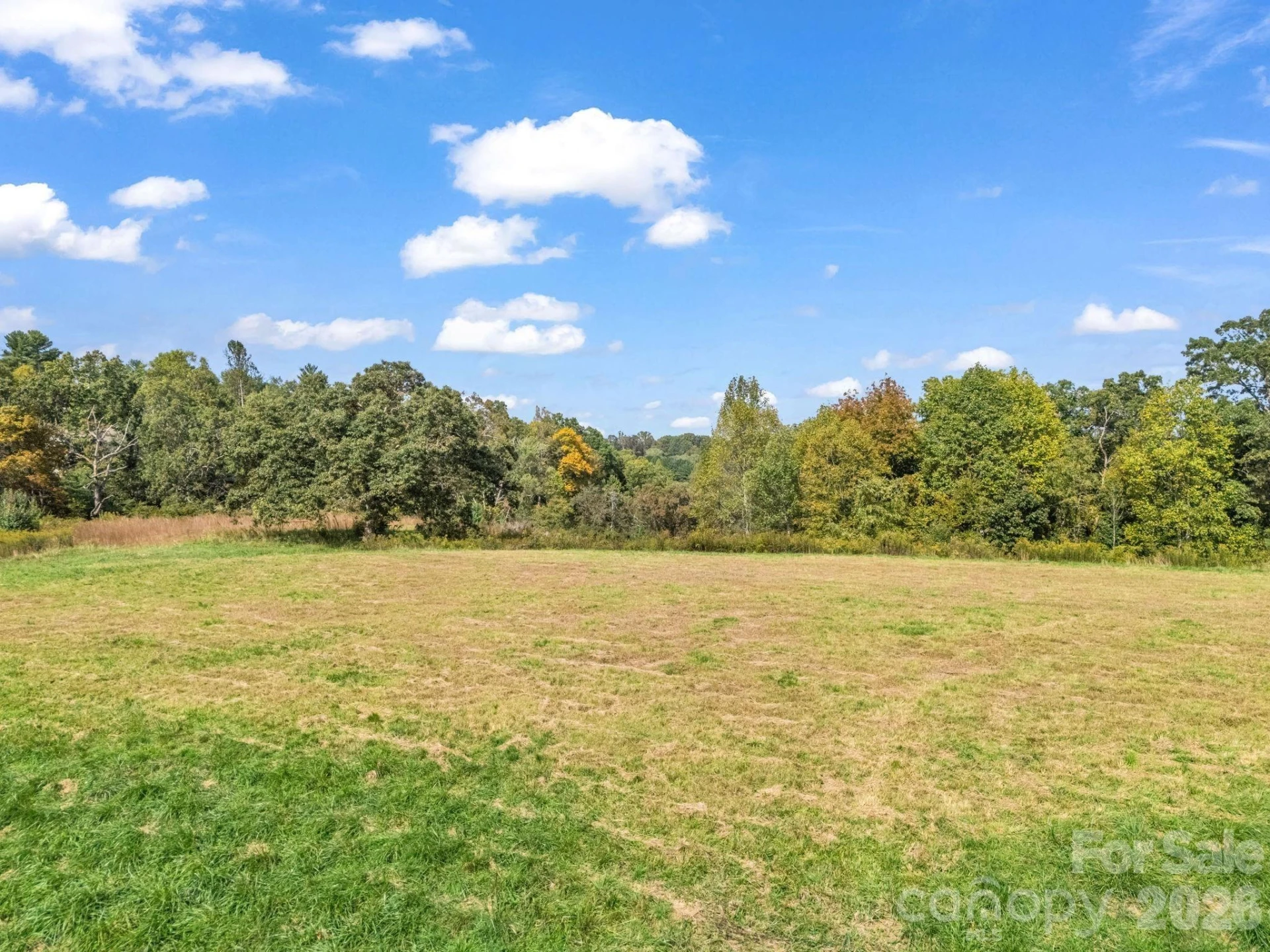 128 Cook Lane #(25 Acres) - Photo 36