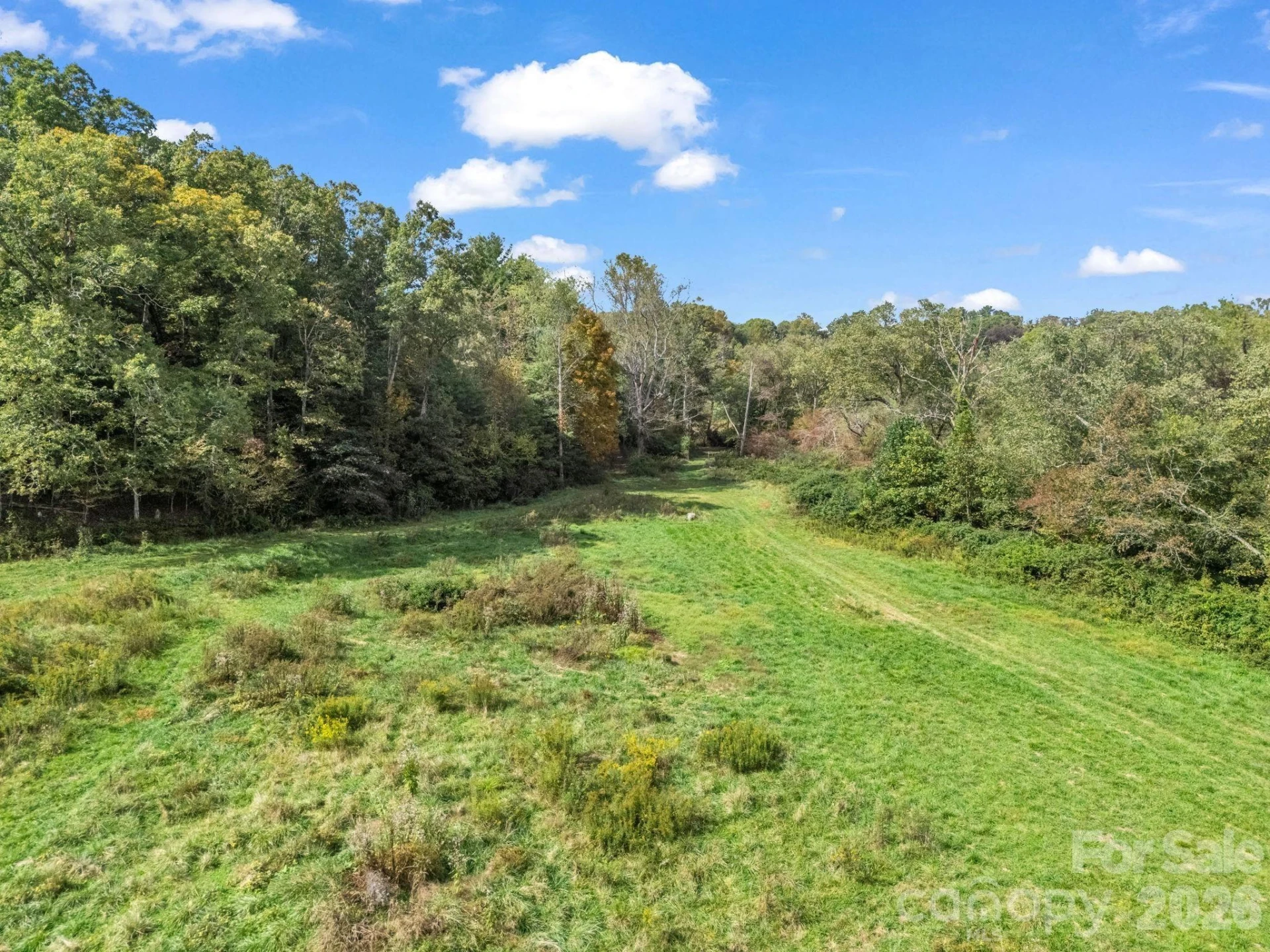 128 Cook Lane #(25 Acres) - Photo 37
