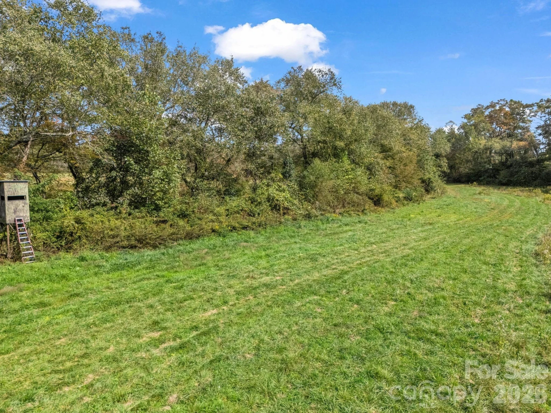 128 Cook Lane #(25 Acres) - Photo 38