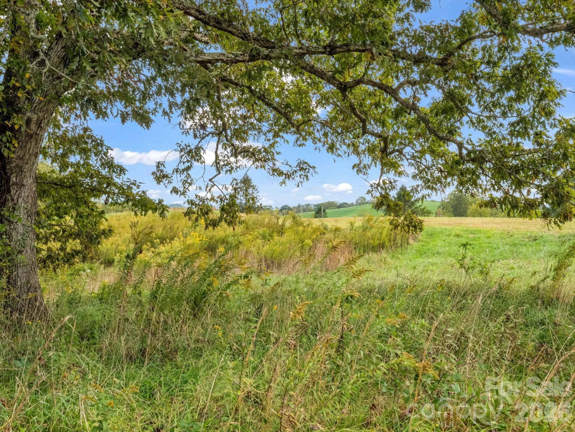 128 Cook Lane #(25 Acres) - Photo 41