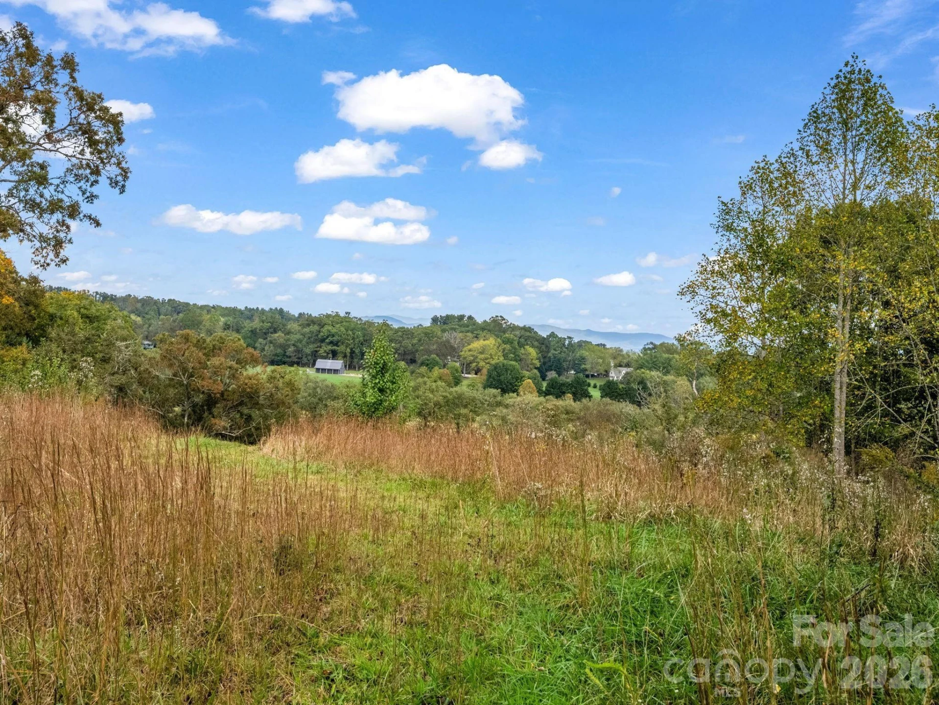 128 Cook Lane #(25 Acres) - Photo 42