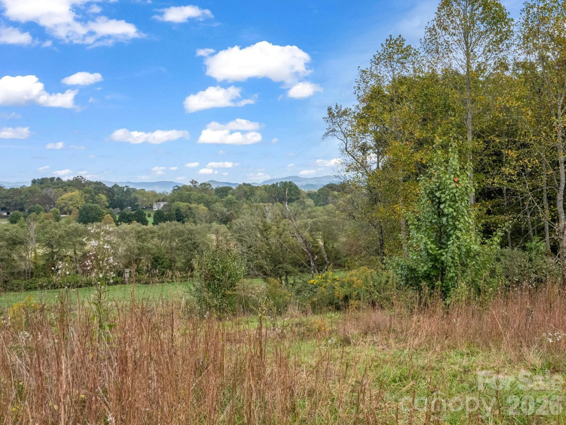 128 Cook Lane #(25 Acres) - Photo 43