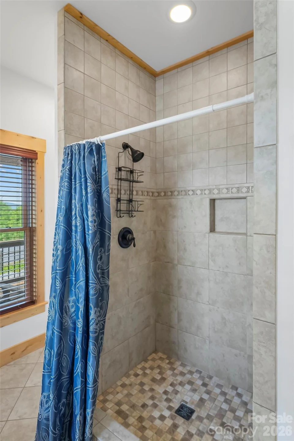 122 Azule Ridge Drive - Photo 21
