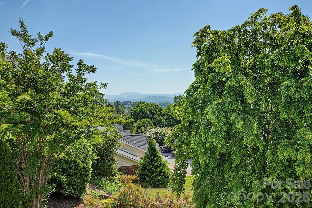 606 Carriage Commons Drive - Photo 2