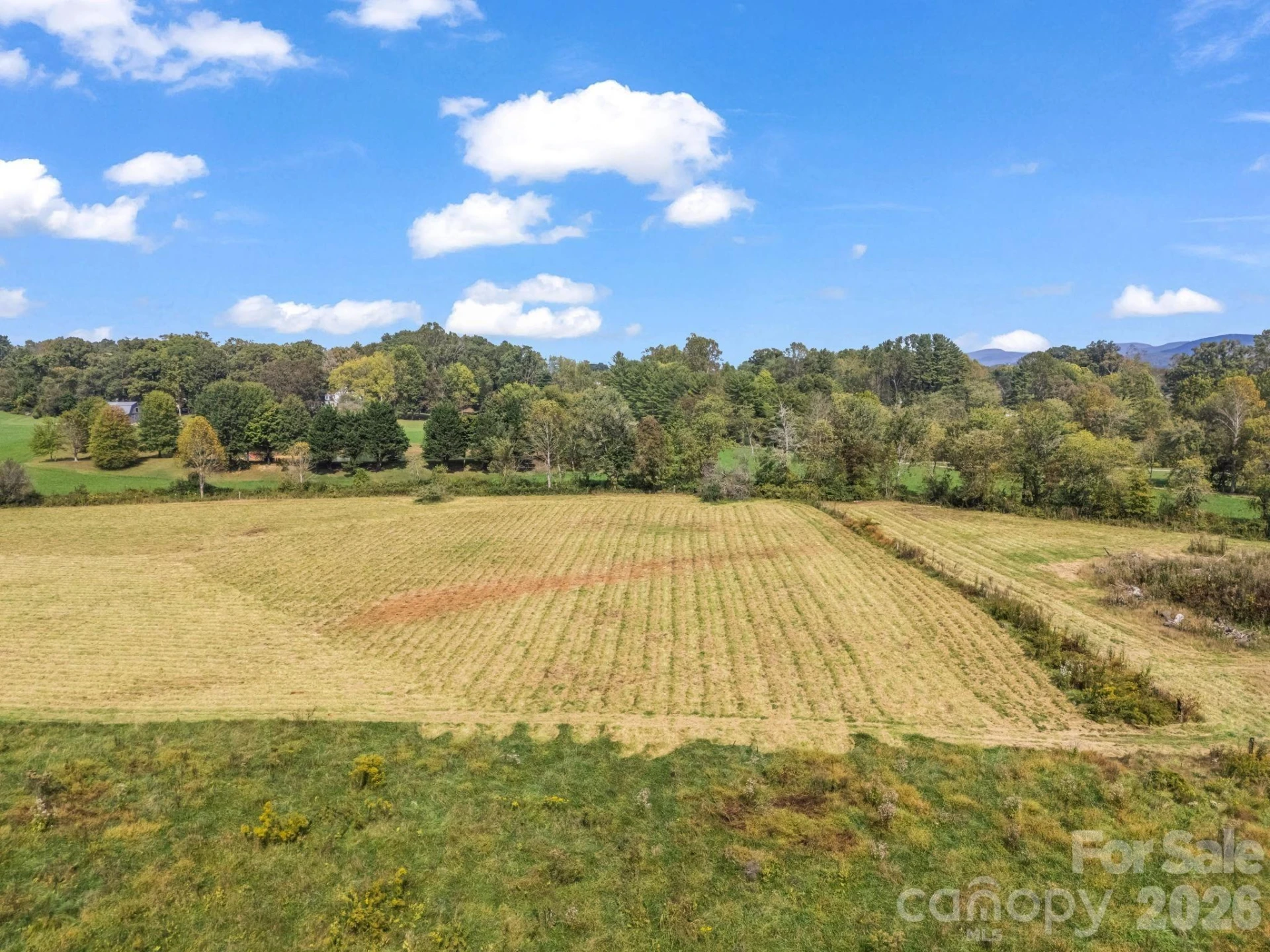 000 Cook Lane #24.87 Acres - Photo 16