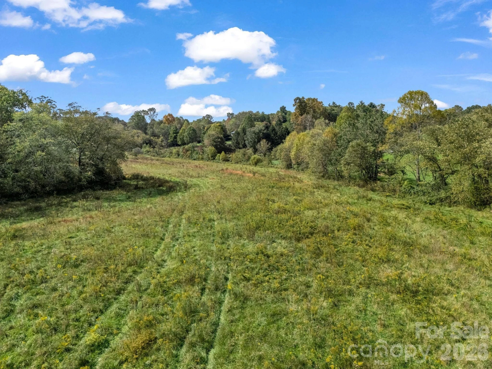 000 Cook Lane #24.87 Acres - Photo 17