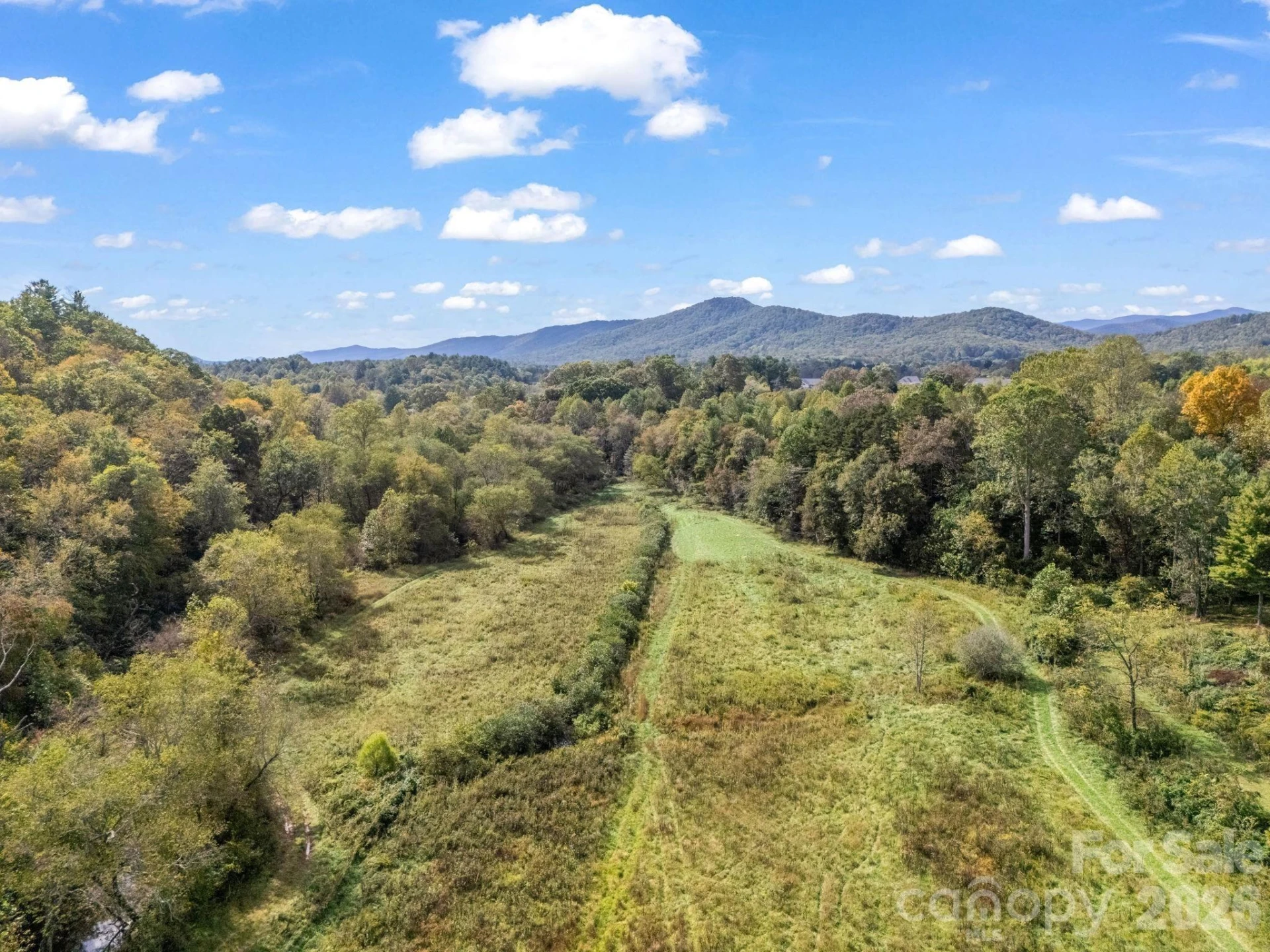000 Cook Lane #24.87 Acres - Photo 3