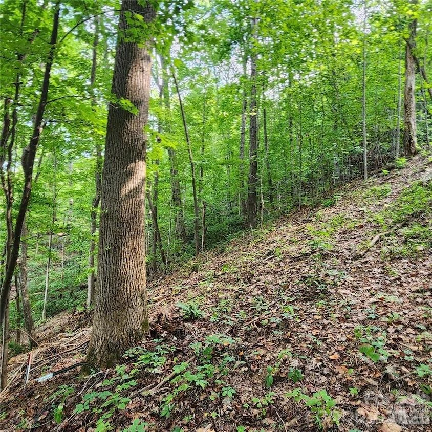 0 Switchback Road - Photo 2