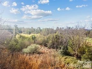 425 Nelson Valley Lane - Photo 13