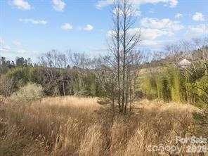 425 Nelson Valley Lane - Photo 14