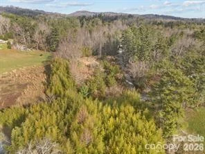 425 Nelson Valley Lane - Photo 10