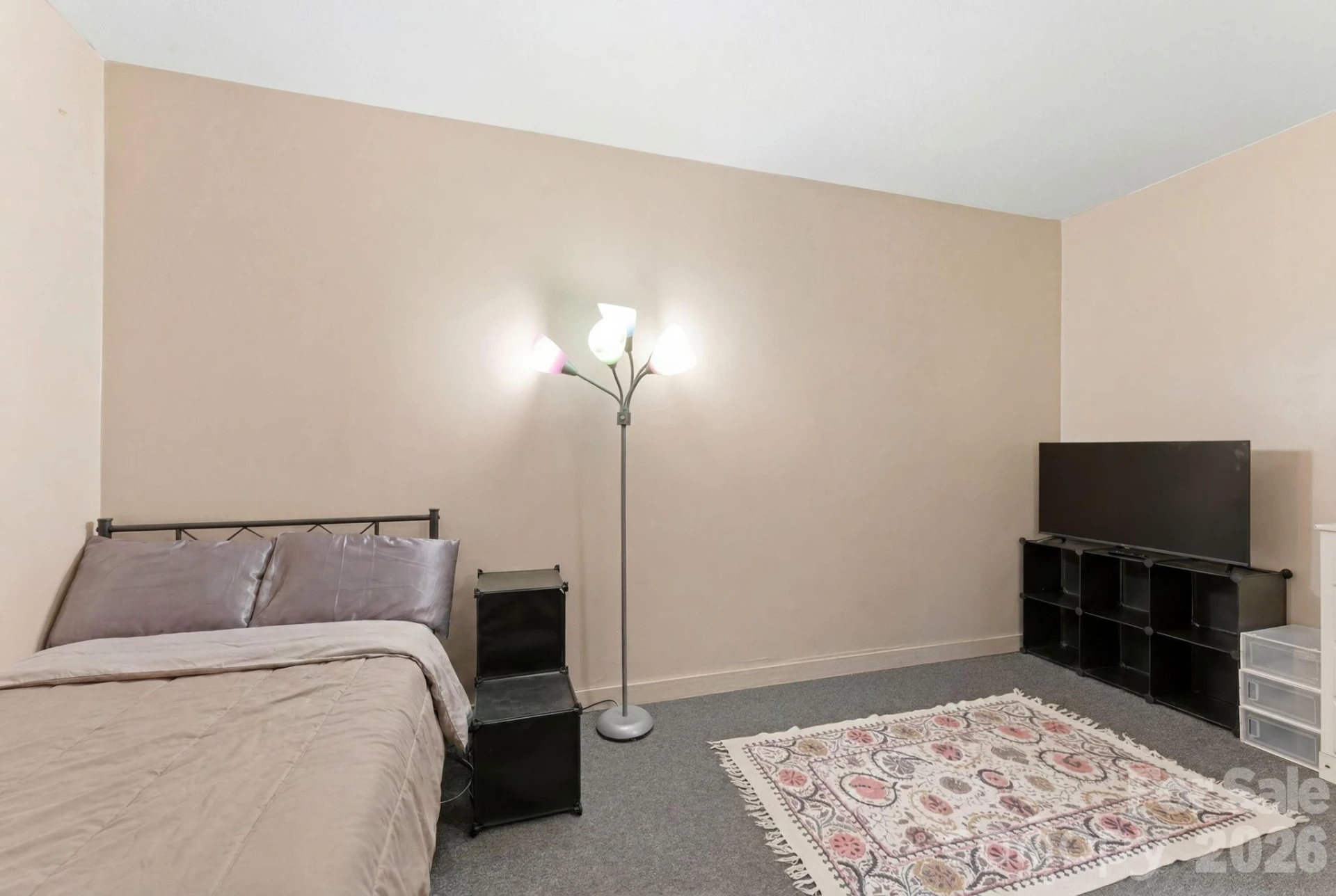429 Biodome Drive - Photo 35