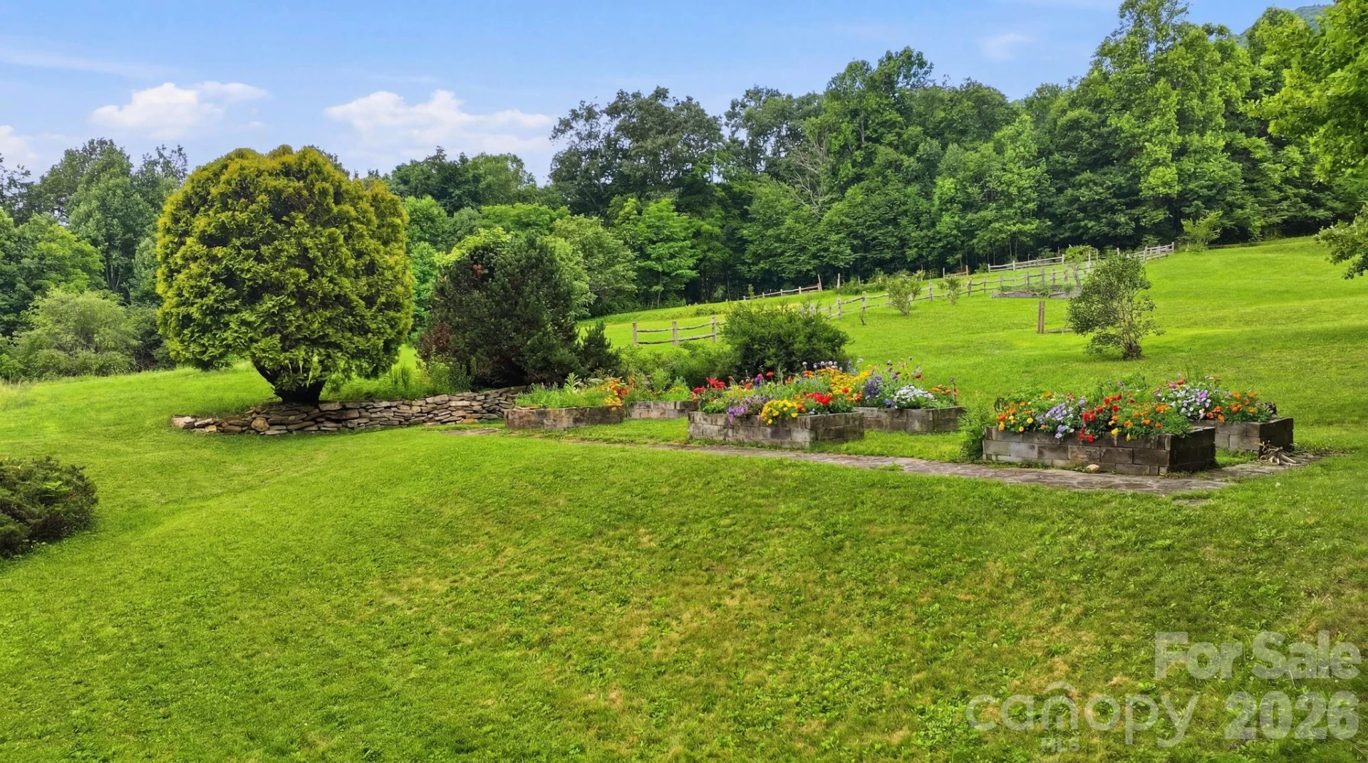 429 Biodome Drive - Photo 8