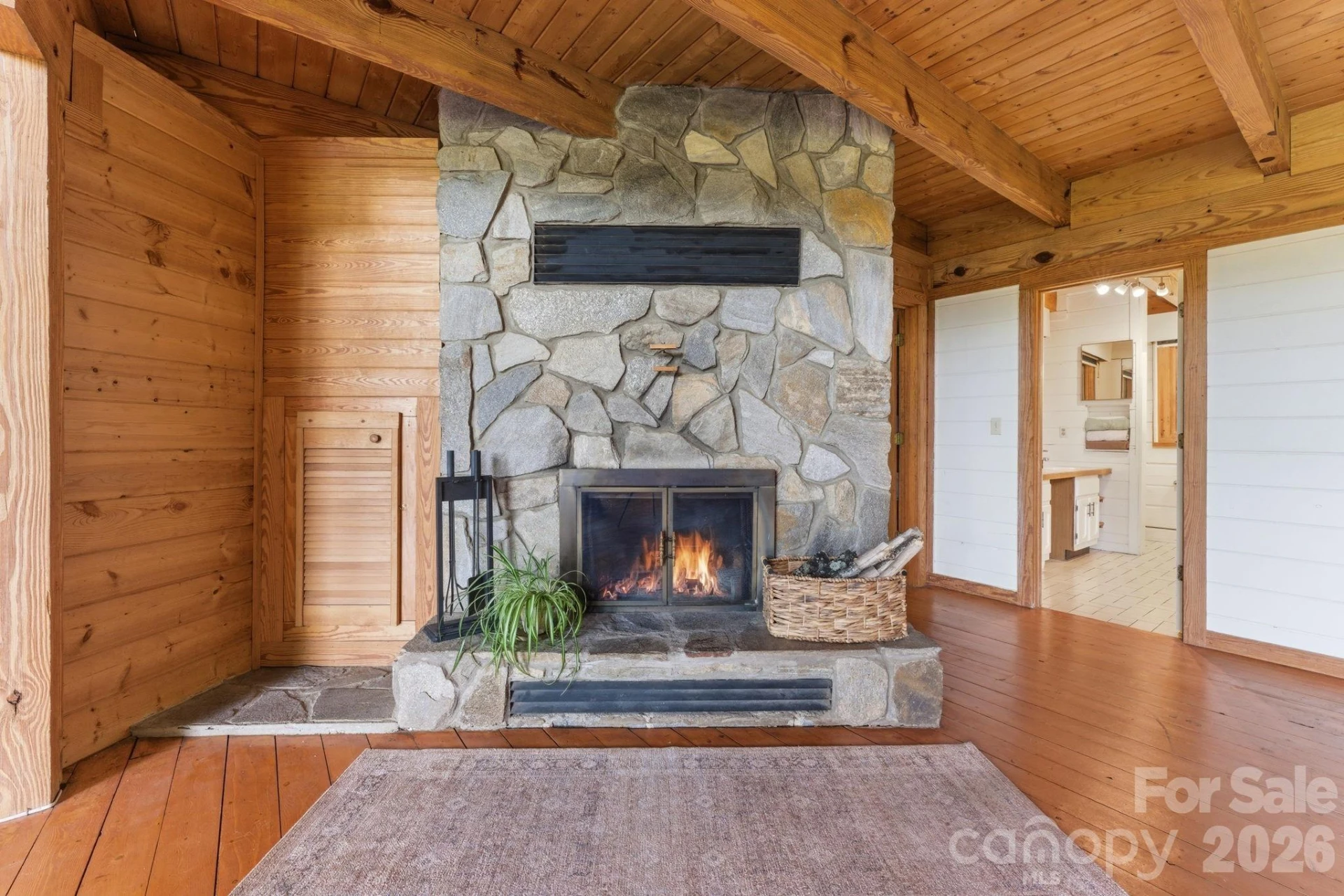 429 Biodome Drive - Photo 11
