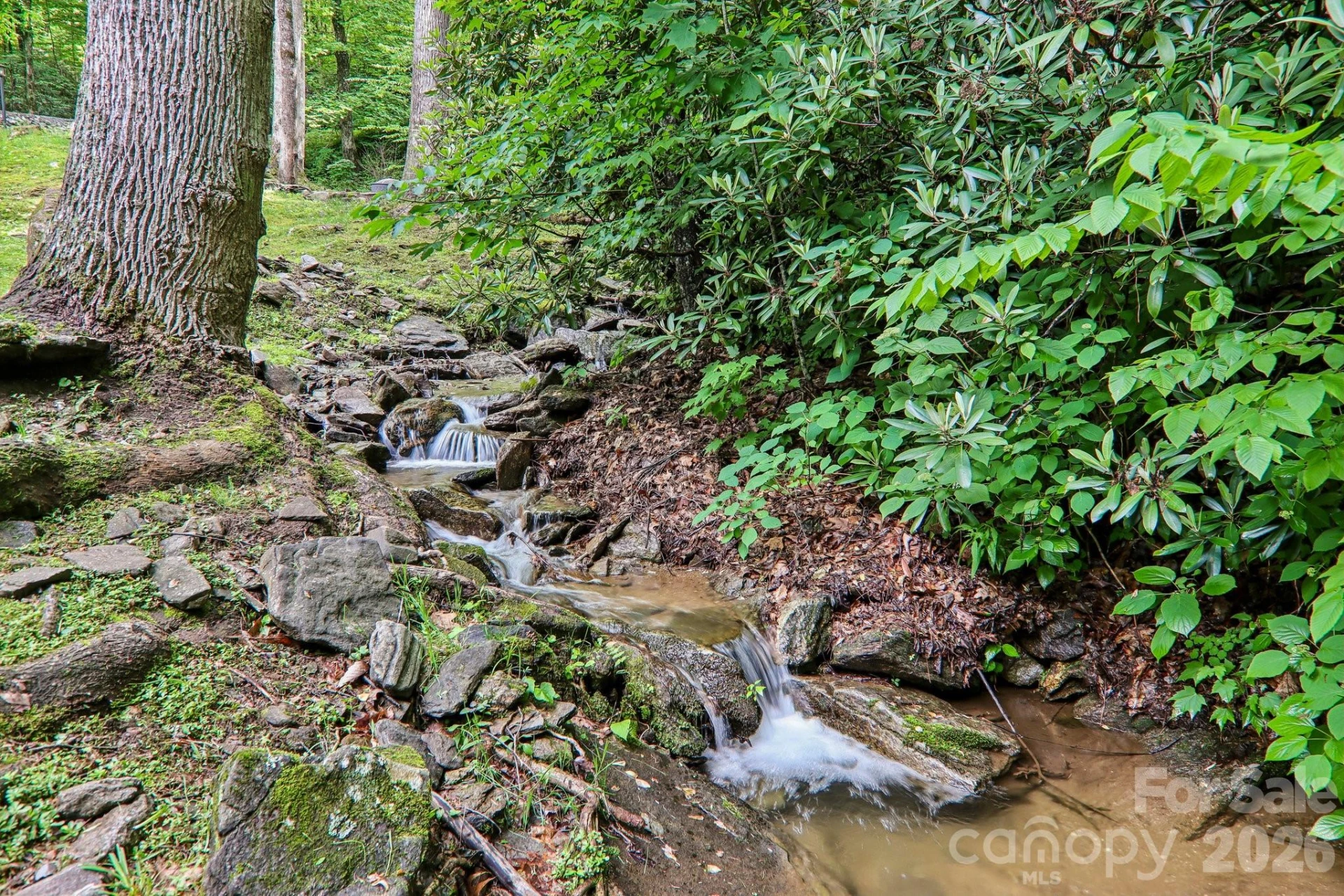 1264 Dogwood Drive - Photo 8