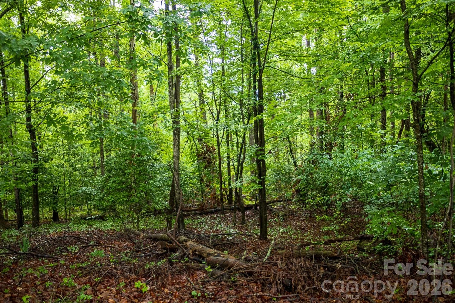 1225 Moss Road - Photo 2