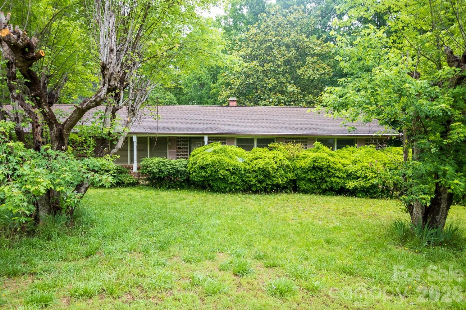 1225 Moss Road - Photo 4