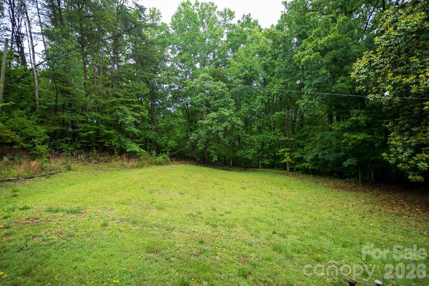 1225 Moss Road - Photo 6